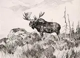 Carl Rungius, The Wanderer, Etching