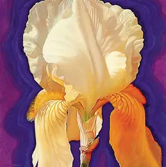 Joice Hall, Iris I, 1999, oil on wood board