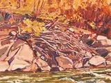 William Duma, Fall Stream