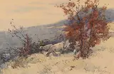 Frederick Charles Vipond Ede, Untitled - Sheep Grazing on a Hillside, 1898, watercolour on paper