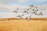 Norman Kelly, Stubble Feeders, oil on board