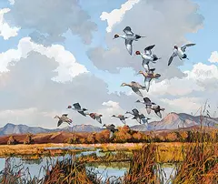 Hugh Monahan, Untitled - Ducks Taking Flight, oil on canvas
