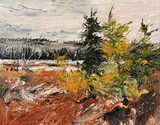 Bruce Steinhoff, Ragged Lake, Algonquin Parrk, 1980, oil on wood board