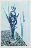 J.C. Heywood, Untitled Etching KV.102 #19/43, 1974, colour etching on paper