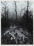 Jerry Uelsmann, Tapestry
