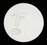 Victor Cicansky, Untitled - Face Plate