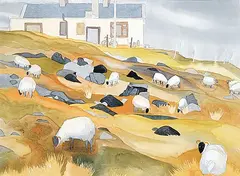 Wendy Wacko, Grazing Sheep at the Neighbours House, Corraen Pennisula, 1999, watercolour on paper