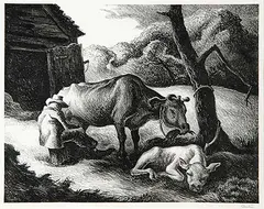 Thomas Hartley Benton, White Calf, 1945, lithograph on paper