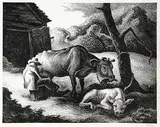 Thomas Hartley Benton, White Calf, 1945, lithograph on paper