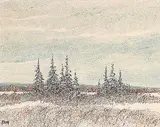 Henry Letendre, Blue Northern Spruce, 1984, oil on particle board