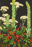 Mullen, Rose and Yarrow by Illingworth Kerr, 1983, oil on canvas board, sold Nov 2008