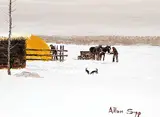 Getting Hay for the Cattle by Allen Sapp, acrylic on canvas, sold Nov 2008