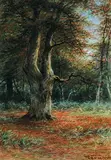 Frederick Arthur Verner, Beech Tree, Burham, England
