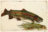 Jack Lee Cowin, Nymphing Rainbow [Western Trout Series #A/P]