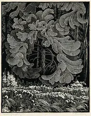 Ernest Friedrich Lindner, Forest Symphony, wood block on paper