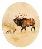 Harold Demont Olsen, Wapiti Bull, Kootenai Natl. Pk., watercolour on paper