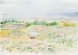 Rebecca Perehudoff, Burgundy Slough near Saskatoon, 1981, watercolour on paper