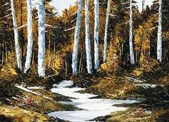 Don Scott, Sunlight Birches, oil on hard board