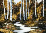 Don Scott, Sunlight Birches, oil on hard board