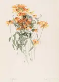 Molly Lamb Bobak, Black Eyed Susan #149/250, colour lithograph on paper