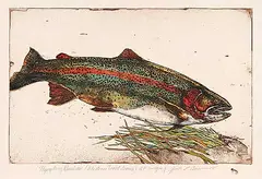 Jack Lee Cowin, Nymphing Rainbow [Western Trout Series] #A.P., 1982, hand coloured etching on paper