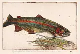 Jack Lee Cowin, Nymphing Rainbow [Western Trout Series] #A.P.