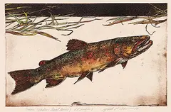 Jack Lee Cowin, Brown [Western Trout Series] #A.P., 1982, hand coloured etching on paper