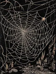 Ernest Friedrich Lindner, Untitled - Spider Web, wood block on paper