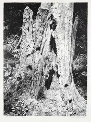 Ernest Friedrich Lindner, Dead Fall No.2 #69/100, 1976, lithograph on paper