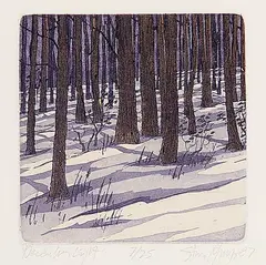 Stan Phelps, December Light #7/25, 1987, colour etching on paper