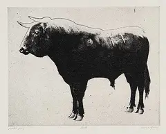 Robert Young, Bull #Printer's Proof, etching on paper