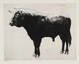 Robert Young, Bull #Printer's Proof, etching on paper