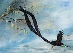 Tristan Walcot, Untitled - Bird of Paradise, watercolour on paper