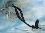 Tristan Walcot, Untitled - Bird of Paradise, watercolour on paper