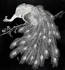 Tristan Walcot, Untitled - Peacock, 1961, ink on paper