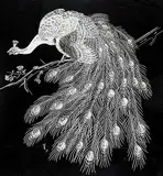 Tristan Walcot, Untitled - Peacock, 1961, ink on paper