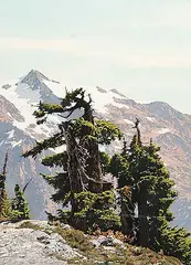 Simon H. Camping, The Old Guard [Mount Baker], watercolour on paper
