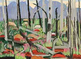 Mary Spice Kerr, Storm Mt. Burnt Trees and New Grove