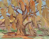 Mary Spice Kerr, Old Mesquite Tree, Mesa, Ariz.