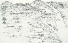 Shuvinai Ashoona, Untitled - Landscape on paper, 1993, felt pen on paper