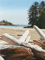 Simon H. Camping, Logs on Schooner Beach, Pacific Rim, acrylic on paper