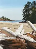 Simon H. Camping, Logs on Schooner Beach, Pacific Rim, acrylic on paper