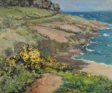 William Todd-Brown, Untitled - British Coastline, oil on paper board