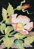 Annora Brown, Untitled - Wild Rose, watercolour on paper