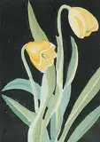 Annora Brown, Untitled - Yellow Tulip, watercolour on paper