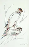 Edward Cobiness, Untitled - Hawks