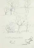 Janet Mitchell, Untitled - Sketch of Trees and Dog and Scottish Terrier, 1982, graphite on paper
