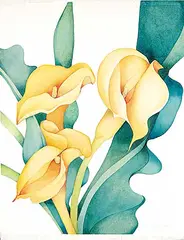 Sharlene Dee Stauffer, Spring Brass Trio [Calla Lilies], 1989, watercolour on paper