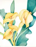 Sharlene Dee Stauffer, Spring Brass Trio [Calla Lilies], 1989, watercolour on paper