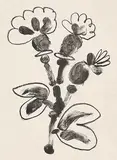 De memoire d'homme [Bouquet] by Pablo Picasso, lithograph on paper, sold May 2007